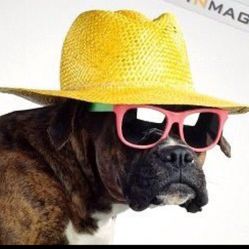 DavePotter11's profile picture. Home grown Clarets fan who loves to run n cycle around town!!