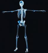 ロボット人間