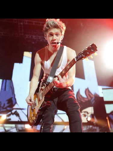 Natasha Pricillia ; Love Niall James Horan♥ ; follow Niall Horan at @NiallOfficial THANKS♥ I LOVE YOU NIALL!!♥ #teamfollowback