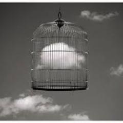 OnettiMarina's profile picture. Socióloga. Especializada en Investigación Social  y en Evaluación de Políticas y de Programas http://t.co/ekg7C19eBi