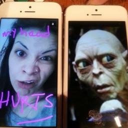 lu_coleman's profile picture. n. Lucypedia 1. Wikipedia for the factually challenged. Press Assistant at Academy Music Group