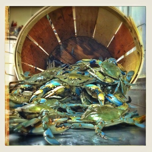 Baltimore's best-kept secret. Olde fashioned steamed crabs, and a view you can't get anywhere else.