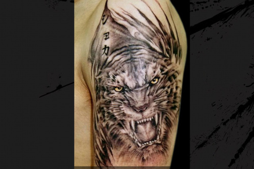 smg6525's profile picture. 