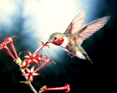 neonhummingbird's profile picture. 