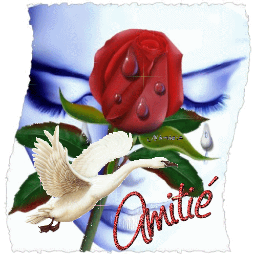 goyalucie's profile picture. 