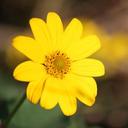 Deb Morris - @DelaDebbie - Twitter