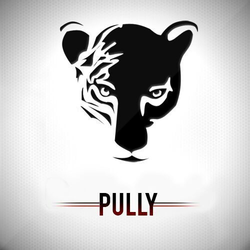 PuLLyKING's profile picture. 