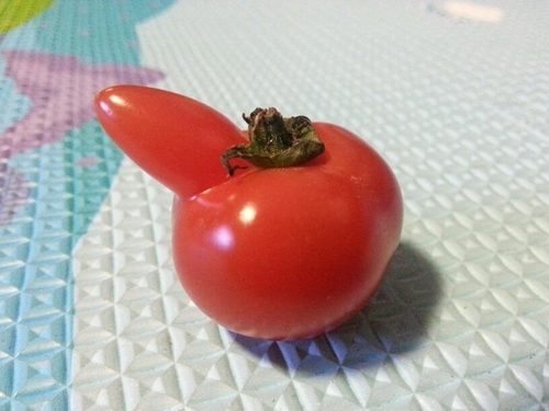 doubleh1027's profile picture. 나는 누구 인가...