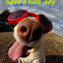 Doitforme44's profile picture. Variety is the spice of life