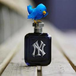 NY Yankees Fragrance