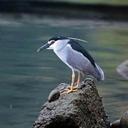 Tim Hester - @TimHester50 - Twitter