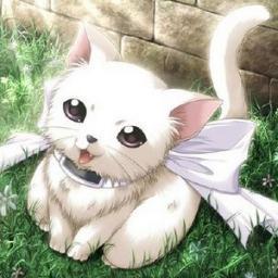 i'm a talking ninja kitten and i have no owner nor name... i learned the jutzu to change into a human girl but don't know how to act like one. #lonely