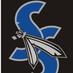 Schaumburg Seminoles (@noles_baseball) Twitter profile photo Schaumburg Seminoles (@noles_baseball) Twitter profile photo
