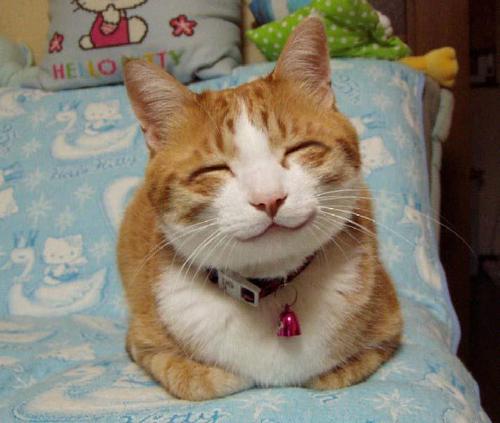 はじめまして。 フォロバしてください＾＾