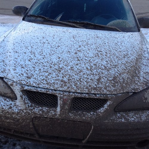 lochead93's profile picture. 