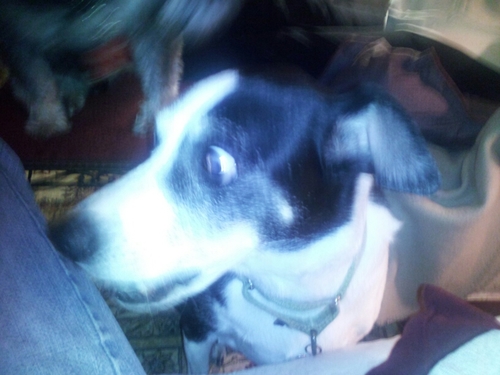 bob_palmieri's profile picture. 