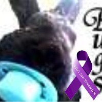 Rest in peace my beautiful angel Bugsy, who went OTRB on 15/8/2014 at the age of 10 years. will miss you forever xxxx
