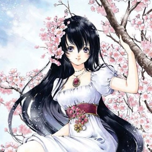 alaa_ahmad_awdi's profile picture. 