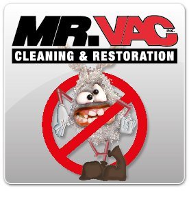 MrVacCleaning's profile picture. Mr Vac Cleaning and Restoration. We give away FREE carpet cleaning weekly. Follow Us and Like Us on Facebook to win!
https://t.co/fv86fWBTpc