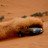 فرج العتبيي's Twitter (X) avatar
