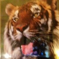 Cydette Welthagen (@cydettew) 's Twitter Profile