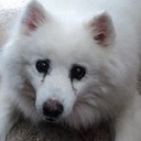 David Nilsen - @Conniedaddy - Twitter