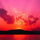 danique williams - @daniquewilliam - Twitter