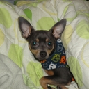 Justin Kilpatrick - @Just134t - Twitter