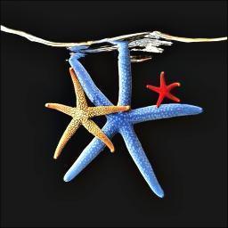 vickgonme's profile picture. Quien acostumbra a decir mentiras acaba por no distinguirlas de la verdad...