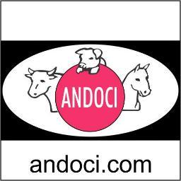 LabAndoci's profile picture. 