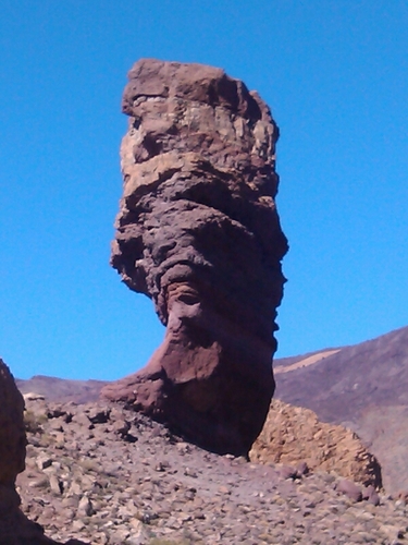 PazWikiwiki's profile picture. 