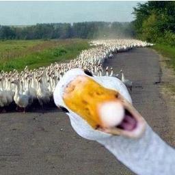 Needsleevesurg's profile picture. Need Bariatric Surgery and asking for donations to pay for it.  Your donations will help me on the road to much healthier life.  Thank you!