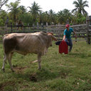 Edwin Negrette - @EdwinNegrete392 - Twitter