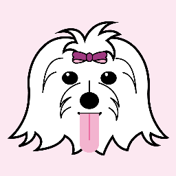 Boutique canina. Accesorios, complementos, ropa y cosmética para perros