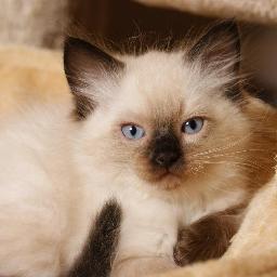 Squirrelyou's profile picture. loves watching Jessie