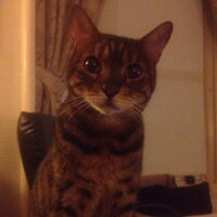 Jackie Smith (@jake131) 's Twitter Profile