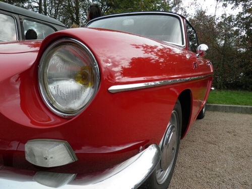 zsylve's profile picture. 