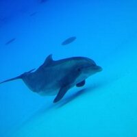 Nicoloko (@nicoloko69) 's Twitter Profile