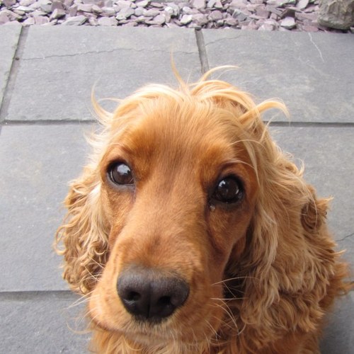 beckiwht's profile picture. 