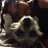 Tinametrix's profile image