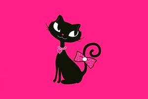 Tutti_Cat1's profile picture. https://t.co/FoXU49ytjo    Vendas Salvador!