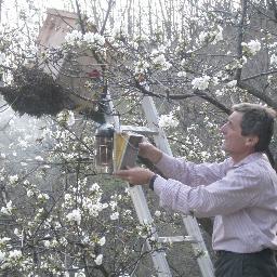 Apicoltore hobbista,