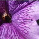 Erica Cormier - @Erica_cormier99 - Twitter