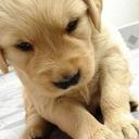 Thomas Clamp - @clampy88 - Twitter