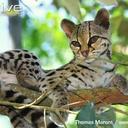 Vanessa Stacey - @StaceyStacey00 - Twitter