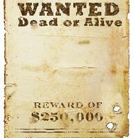 Wild West (@mr_westwoody) 's Twitter Profile Photo Wild West (@mr_westwoody) 's Twitter Profile Photo