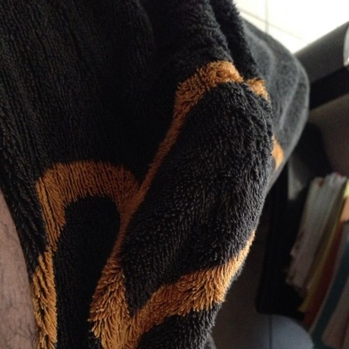 D_Devil972's profile picture. luv women curves, squirters, and good body shape