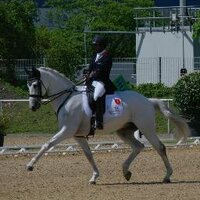 Glasten Krapels (@glastenk) 's Twitter Profile