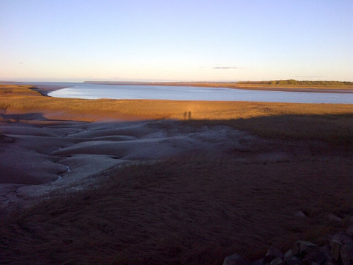 janicestewart13's profile picture. 