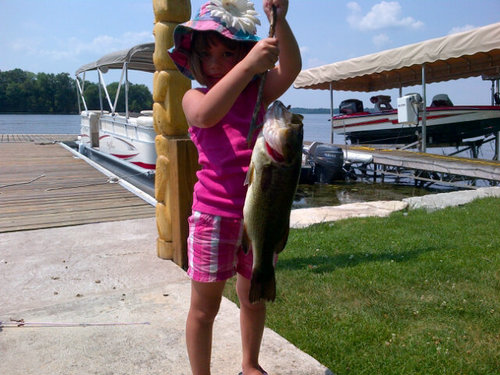 shanebear08's profile picture. 